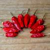How to Air Dry Chilli Peppers