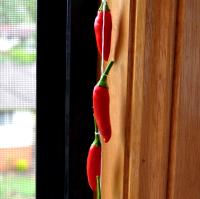 Hang Chilli in a spot with good air flow