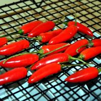 Chilli Drying on a Heater