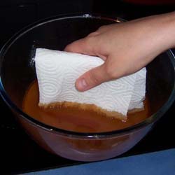 Skim fat from stock using paper towel