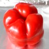 How to Roast a Red Capsicum or Pepper