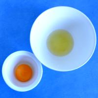 Separated Eggs