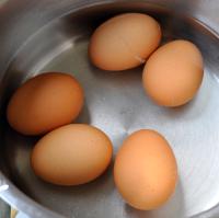 Boil the Eggs