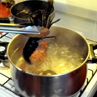 Put the Marron into the boiling water