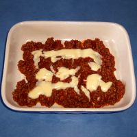 Building the Lasagne