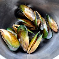 Precook mussels to have them open