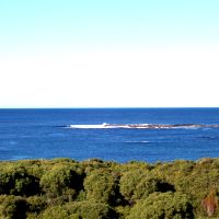 View from the lookout