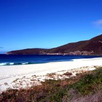 View of the beach